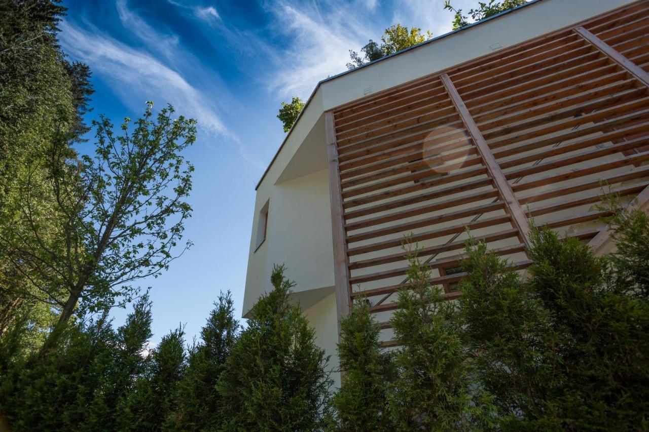 Kitz Apartments Kitzbühel Eksteriør bilde
